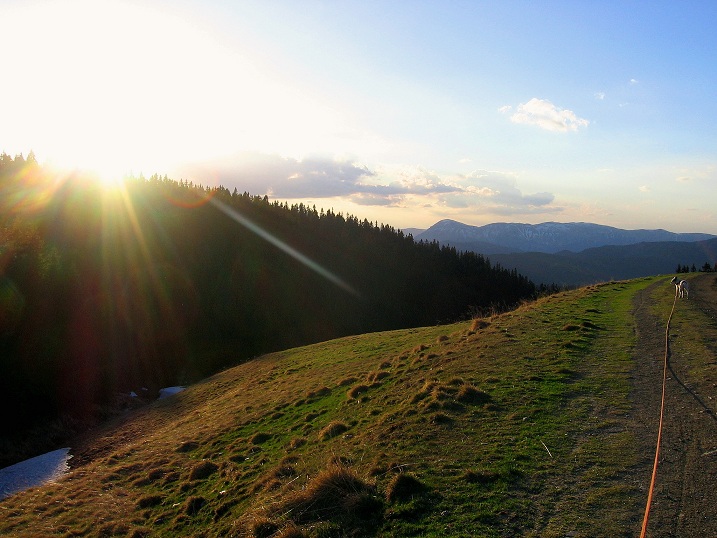 Foto: Andreas Koller / Wandertour / Über den Wechsel (1743m) / 31.05.2012 22:25:11