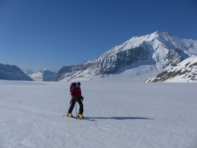 Foto: Wolfgang Lauschensky / Skitour / Sphinx am Jungfraujoch 3571m von der Konkordiahütte / Rückblick zum Konkordiaplatz, rechts das Dreieckhorn, links im Hintergrund das Eggishorn / 05.06.2012 23:34:47