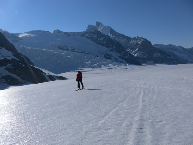 Foto: Wolfgang Lauschensky / Skitour / Sphinx am Jungfraujoch 3571m von der Konkordiahütte / Gletscherbruch des Ewigschneefälds am Konkordiaplatz / 05.06.2012 23:34:38