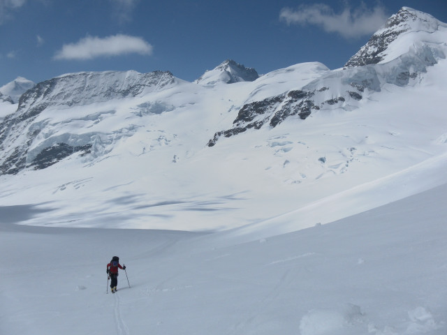 Foto: Wolfgang Lauschensky / Skitour / Sphinx am Jungfraujoch 3571m von der Konkordiahütte / Zustieg zum Sphinxstollen / 05.06.2012 23:33:53