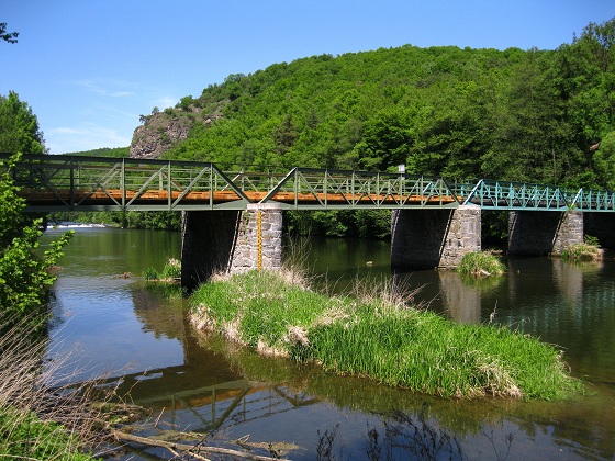 Foto: Andreas Koller / Wandertour / Im Nationalpark Thayatal (378m) / Ausgangspunkt Hardegg - Thayabrücke / 10.06.2012 22:22:05