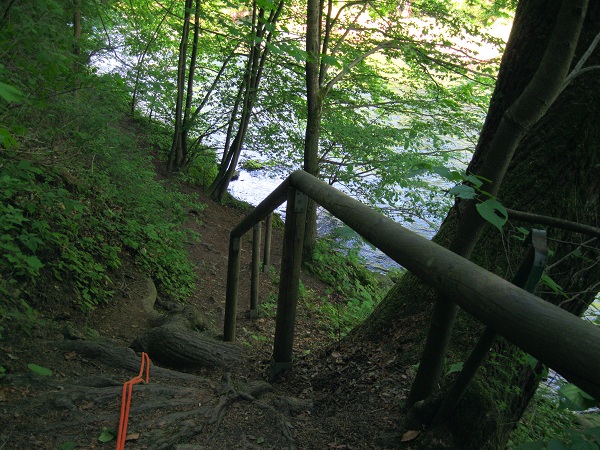 Foto: Andreas Koller / Wandertour / Im Nationalpark Thayatal (378m) / 10.06.2012 22:20:23