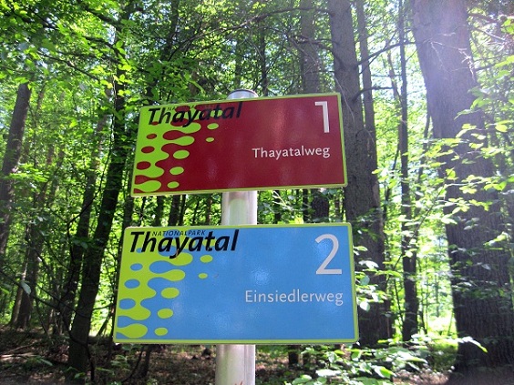 Foto: Andreas Koller / Wandertour / Im Nationalpark Thayatal (378m) / 10.06.2012 22:19:53