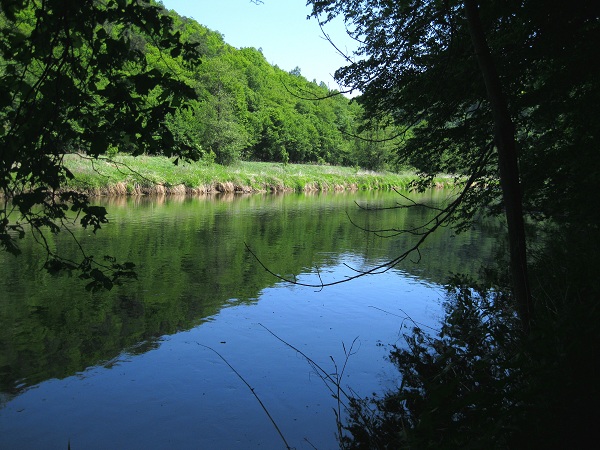 Foto: Andreas Koller / Wandertour / Im Nationalpark Thayatal (378m) / 10.06.2012 22:18:44