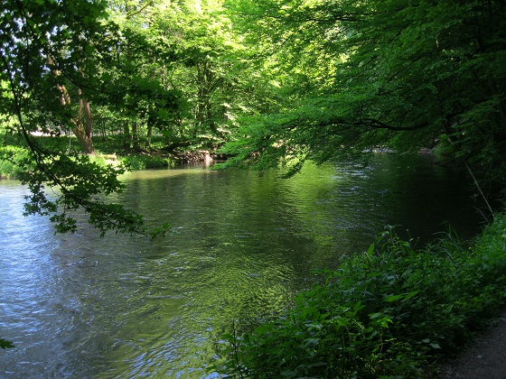 Foto: Andreas Koller / Wandertour / Im Nationalpark Thayatal (378m) / 10.06.2012 22:17:38