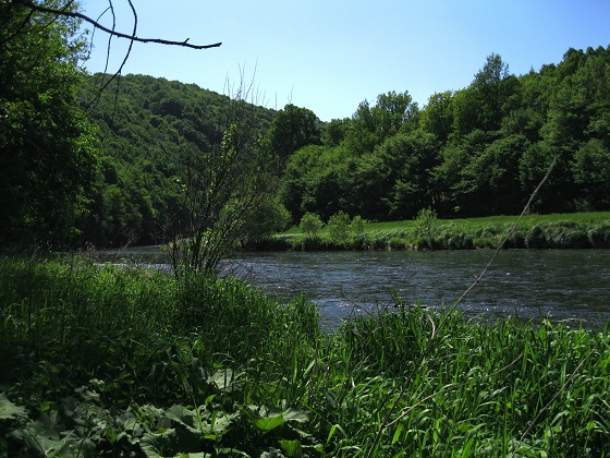 Foto: Andreas Koller / Wandertour / Im Nationalpark Thayatal (378m) / 10.06.2012 22:15:47