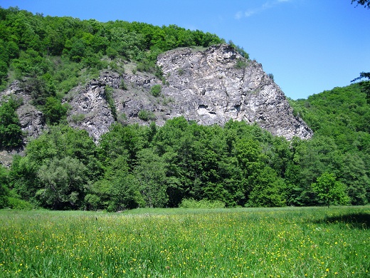Foto: Andreas Koller / Wandertour / Im Nationalpark Thayatal (378m) / 10.06.2012 22:14:39