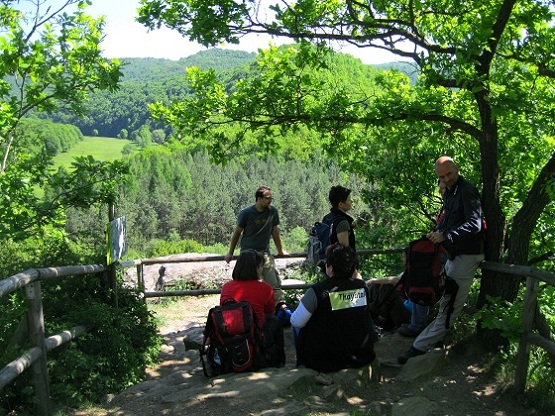 Foto: Andreas Koller / Wandertour / Im Nationalpark Thayatal (378m) / Auf dem Umlaufberg / 10.06.2012 22:14:18
