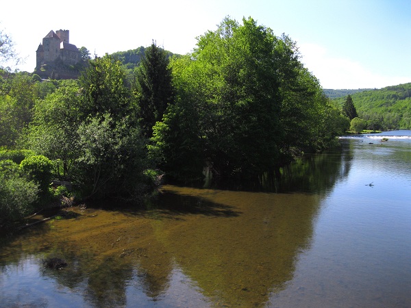 Foto: Andreas Koller / Wandertour / Im Nationalpark Thayatal (378m) / Zurück in Hardegg / 10.06.2012 22:12:58