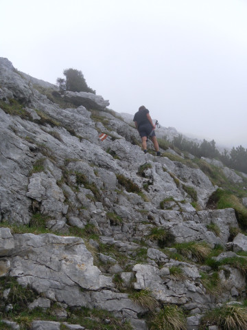 Foto: Wolfgang Lauschensky / Wandertour / Croz dell Altissimo 2339m / Karst / 12.06.2012 17:31:55