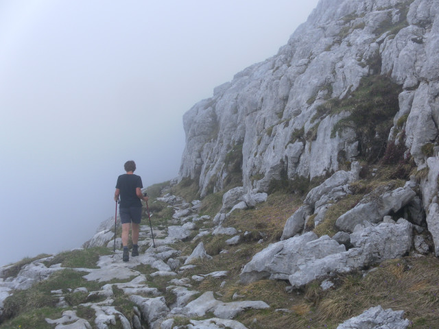 Foto: Wolfgang Lauschensky / Wandertour / Croz dell Altissimo 2339m / Querung zum Croz dell Altissimo / 12.06.2012 17:31:30