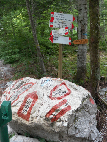 Foto: Wolfgang Lauschensky / Wandertour / Cima dei Lasteri 2459m / Abzweigung von der Via Pradel / 12.06.2012 18:34:50