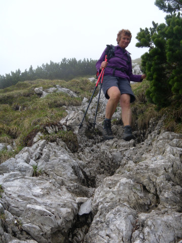 Foto: Wolfgang Lauschensky / Wandertour / Cima dei Lasteri 2459m / Latschenschrofen / 12.06.2012 18:31:44