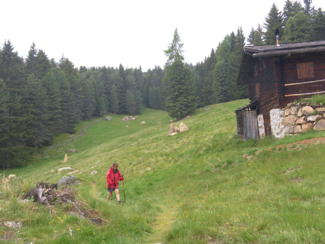 Foto: Wolfgang Lauschensky / Wandertour / Villandersberg über Rittnerhorn / Almabstieg zum Huber Kreuz / 17.06.2012 11:14:11