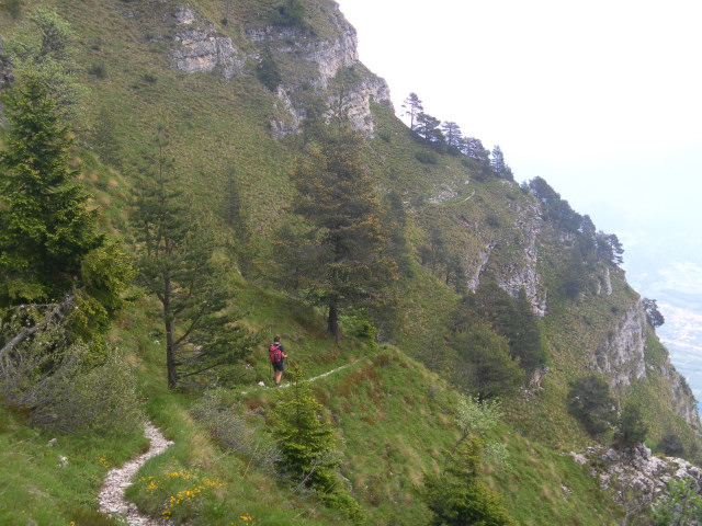 Foto: Wolfgang Lauschensky / Wandertour / Tresnerhorn oder Corno di Tres 1814m / steile Wiesen der oberen Ostflanke hinaub nach Graun / 20.06.2012 20:27:43