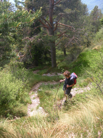Foto: Wolfgang Lauschensky / Wandertour / Tresnerhorn oder Corno di Tres 1814m / steile Waldpfade / 20.06.2012 20:26:52