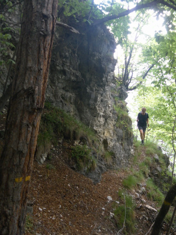 Foto: Wolfgang Lauschensky / Wandertour / Tresnerhorn oder Corno di Tres 1814m / am Felsfuß der Ostabbrüche des Mendelkamms / 20.06.2012 20:22:56