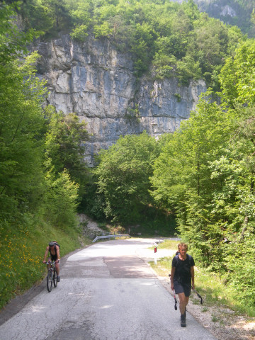 Foto: Wolfgang Lauschensky / Wandertour / Tresnerhorn oder Corno di Tres 1814m / Einmündung des Pfades bei der Quelle an der Oberfennbergstraße / 20.06.2012 20:22:44
