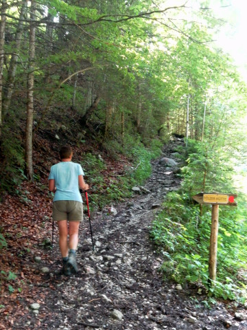Foto: Wolfgang Lauschensky / Wandertour / Delpsjoch 1945m / Wanderweg zum Delpshals / 25.06.2012 13:02:48