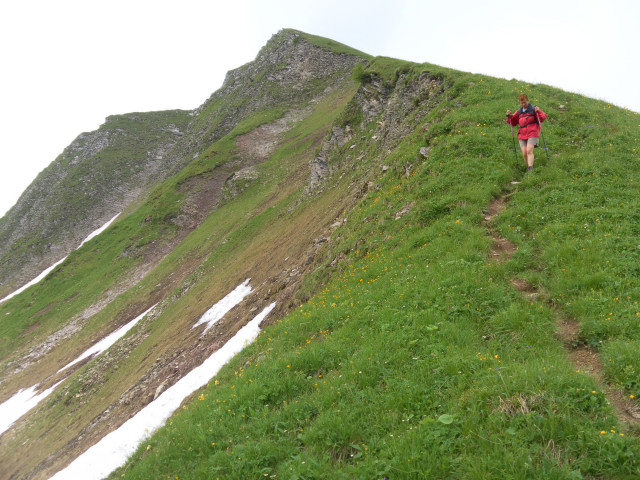 Foto: Wolfgang Lauschensky / Wandertour / Delpsjoch 1945m / steiler Wiesenpfad / 25.06.2012 13:01:01