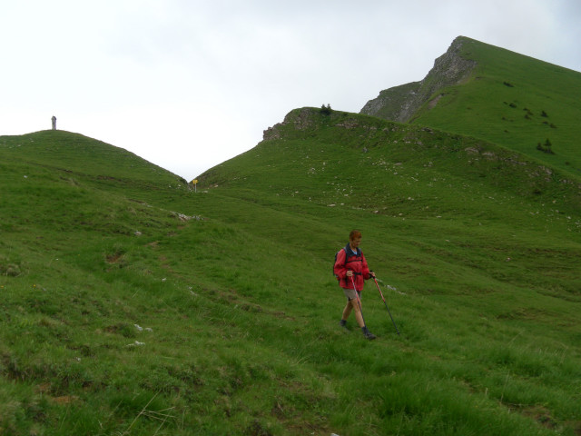 Foto: Wolfgang Lauschensky / Wandertour / Delpsjoch 1945m / unterm Delpshals / 25.06.2012 13:00:45