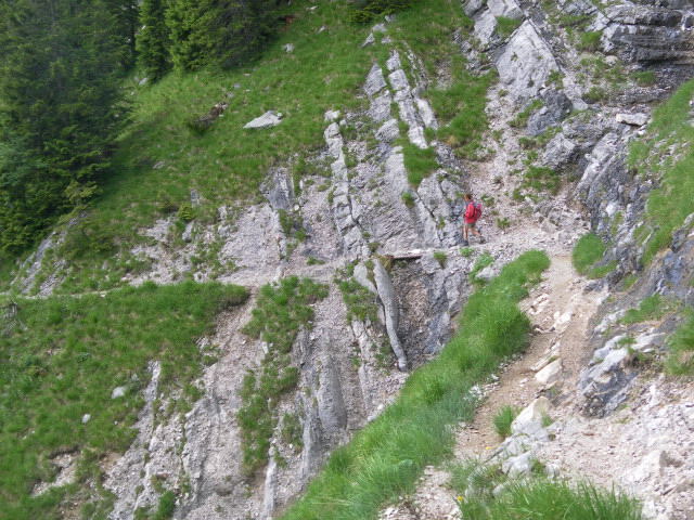Foto: Wolfgang Lauschensky / Wandertour / Delpsjoch 1945m / kurze Schluchtquerung / 25.06.2012 13:00:04