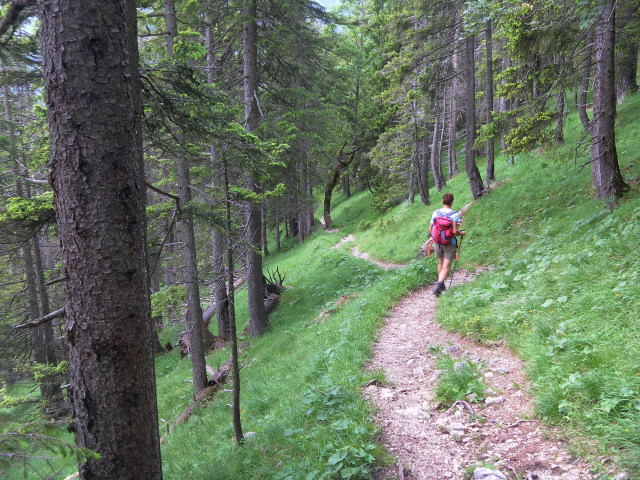 Foto: Wolfgang Lauschensky / Wandertour / Delpsjoch 1945m / angenehmer Waldpfad hinab zurm Ausgangspunkt / 25.06.2012 12:59:50