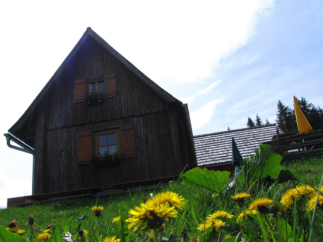 Foto: Andreas Koller / Wandertour / Zum Gipfelsammeln in den Seckauer Tauern (2397m) / Untere Bodenalm / 25.06.2012 18:59:27