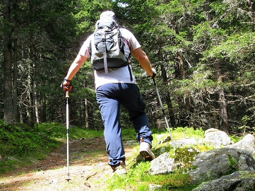 Foto: Andreas Koller / Wandertour / Zum Gipfelsammeln in den Seckauer Tauern (2397m) / 25.06.2012 18:59:13