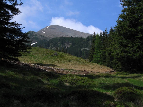 Foto: Andreas Koller / Wandertour / Zum Gipfelsammeln in den Seckauer Tauern (2397m) / 25.06.2012 18:59:06
