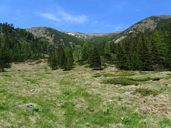 Foto: Andreas Koller / Wandertour / Zum Gipfelsammeln in den Seckauer Tauern (2397m) / 25.06.2012 18:58:12