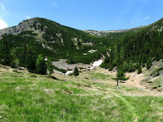 Foto: Andreas Koller / Wandertour / Zum Gipfelsammeln in den Seckauer Tauern (2397m) / 25.06.2012 18:57:55