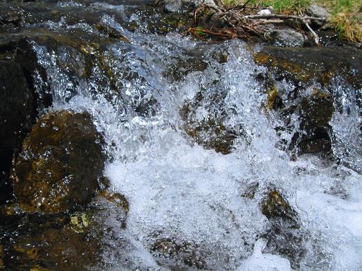 Foto: Andreas Koller / Wandertour / Zum Gipfelsammeln in den Seckauer Tauern (2397m) / 25.06.2012 18:57:27