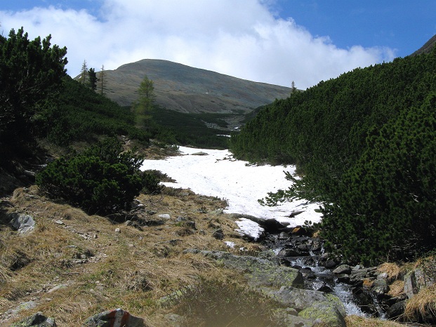 Foto: Andreas Koller / Wandertour / Zum Gipfelsammeln in den Seckauer Tauern (2397m) / 25.06.2012 18:57:09