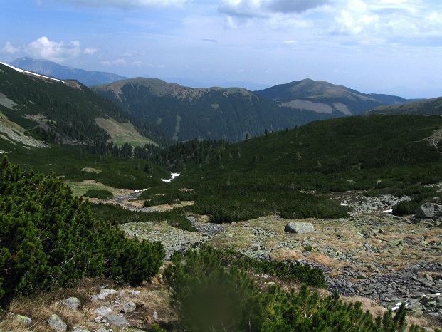Foto: Andreas Koller / Wandertour / Zum Gipfelsammeln in den Seckauer Tauern (2397m) / 25.06.2012 18:56:54