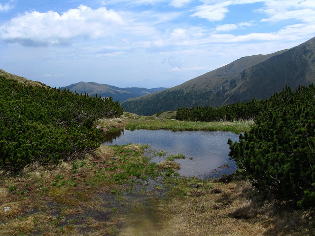 Foto: Andreas Koller / Wandertour / Zum Gipfelsammeln in den Seckauer Tauern (2397m) / 25.06.2012 18:56:45