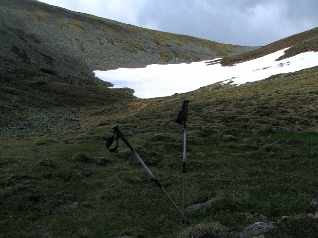 Foto: Andreas Koller / Wandertour / Zum Gipfelsammeln in den Seckauer Tauern (2397m) / 25.06.2012 18:56:38