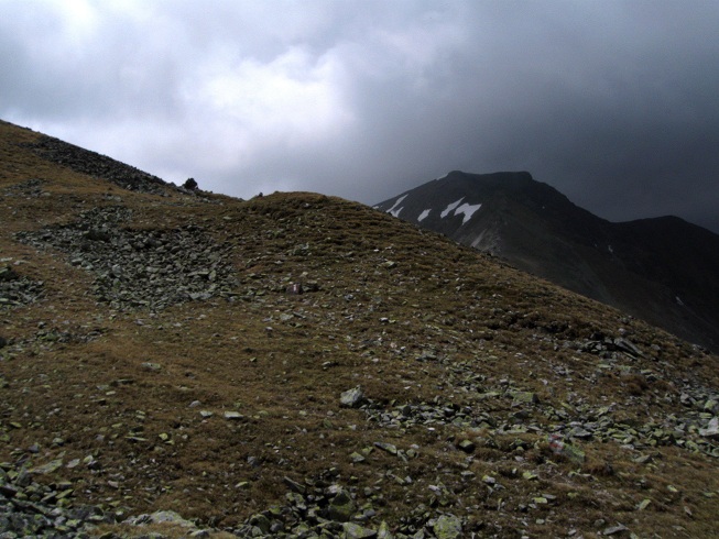 Foto: Andreas Koller / Wandertour / Zum Gipfelsammeln in den Seckauer Tauern (2397m) / Seckauer Zinken / 25.06.2012 18:55:59
