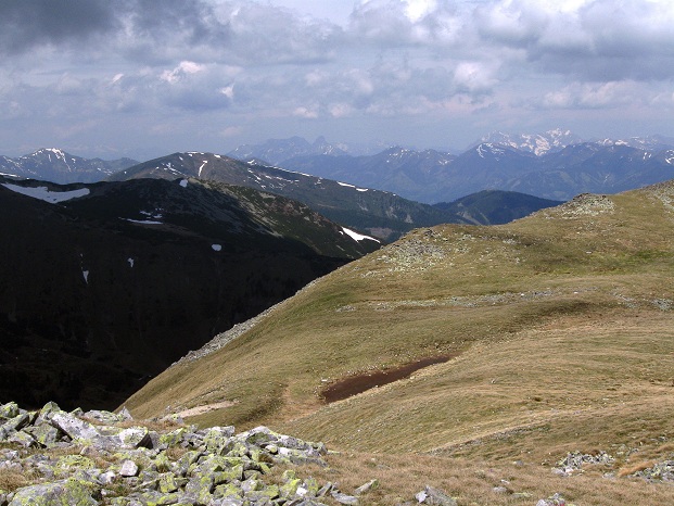 Foto: Andreas Koller / Wandertour / Zum Gipfelsammeln in den Seckauer Tauern (2397m) / 25.06.2012 18:55:45