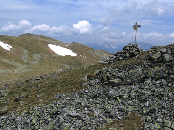 Foto: Andreas Koller / Wandertour / Zum Gipfelsammeln in den Seckauer Tauern (2397m) / 25.06.2012 18:55:36