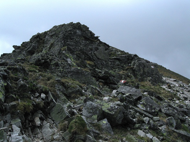 Foto: Andreas Koller / Wandertour / Zum Gipfelsammeln in den Seckauer Tauern (2397m) / 25.06.2012 18:54:38