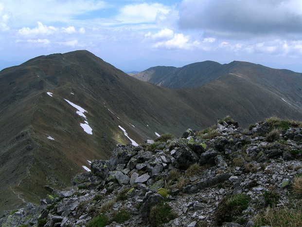 Foto: Andreas Koller / Wandertour / Zum Gipfelsammeln in den Seckauer Tauern (2397m) / 25.06.2012 18:54:29