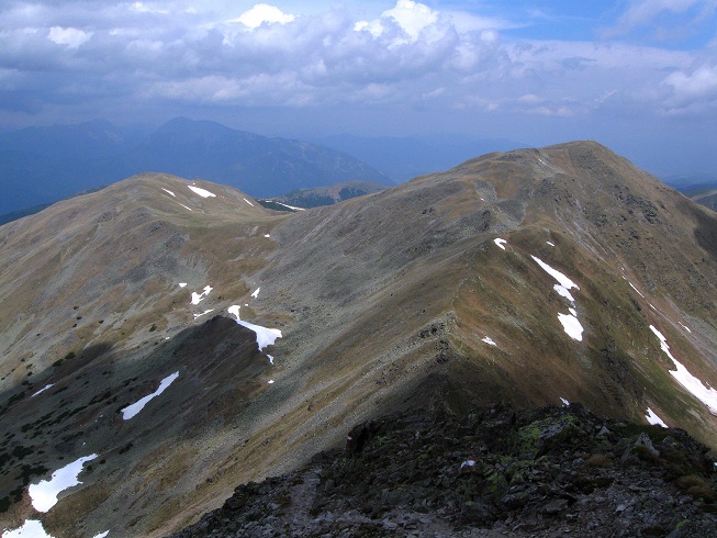 Foto: Andreas Koller / Wandertour / Zum Gipfelsammeln in den Seckauer Tauern (2397m) / 25.06.2012 18:51:23