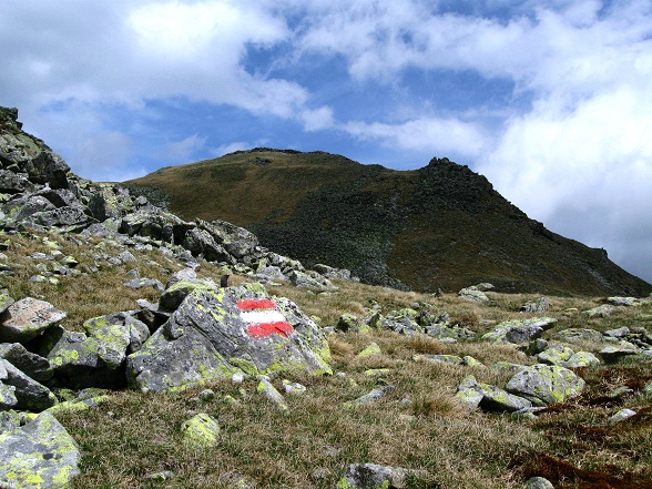 Foto: Andreas Koller / Wandertour / Zum Gipfelsammeln in den Seckauer Tauern (2397m) / 25.06.2012 18:51:12