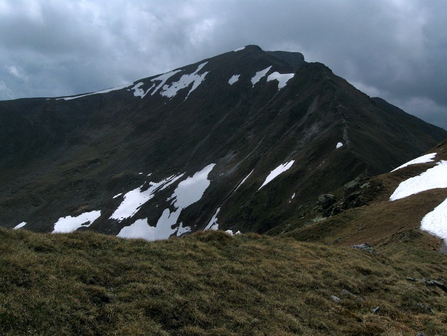 Foto: Andreas Koller / Wandertour / Zum Gipfelsammeln in den Seckauer Tauern (2397m) / 25.06.2012 18:51:04