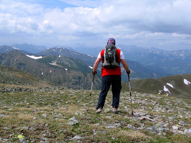 Foto: Andreas Koller / Wandertour / Zum Gipfelsammeln in den Seckauer Tauern (2397m) / Abstieg vom Hämmer Kogel / 25.06.2012 18:48:56
