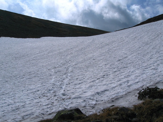 Foto: Andreas Koller / Wandertour / Zum Gipfelsammeln in den Seckauer Tauern (2397m) / 25.06.2012 18:48:36