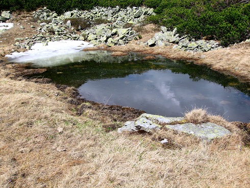 Foto: Andreas Koller / Wandertour / Zum Gipfelsammeln in den Seckauer Tauern (2397m) / 25.06.2012 18:48:19