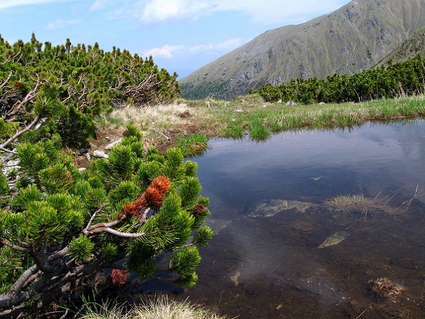 Foto: Andreas Koller / Wandertour / Zum Gipfelsammeln in den Seckauer Tauern (2397m) / 25.06.2012 18:48:03