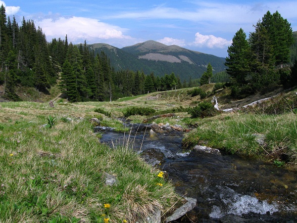 Foto: Andreas Koller / Wandertour / Zum Gipfelsammeln in den Seckauer Tauern (2397m) / 25.06.2012 18:47:42